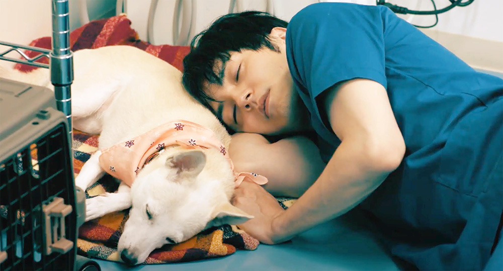 『犬部!』林遣都 インタビュー