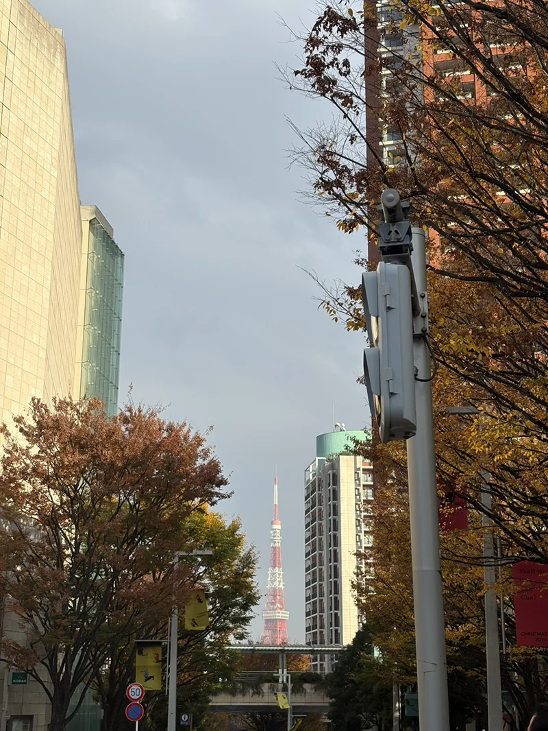 咲耶の映画日記